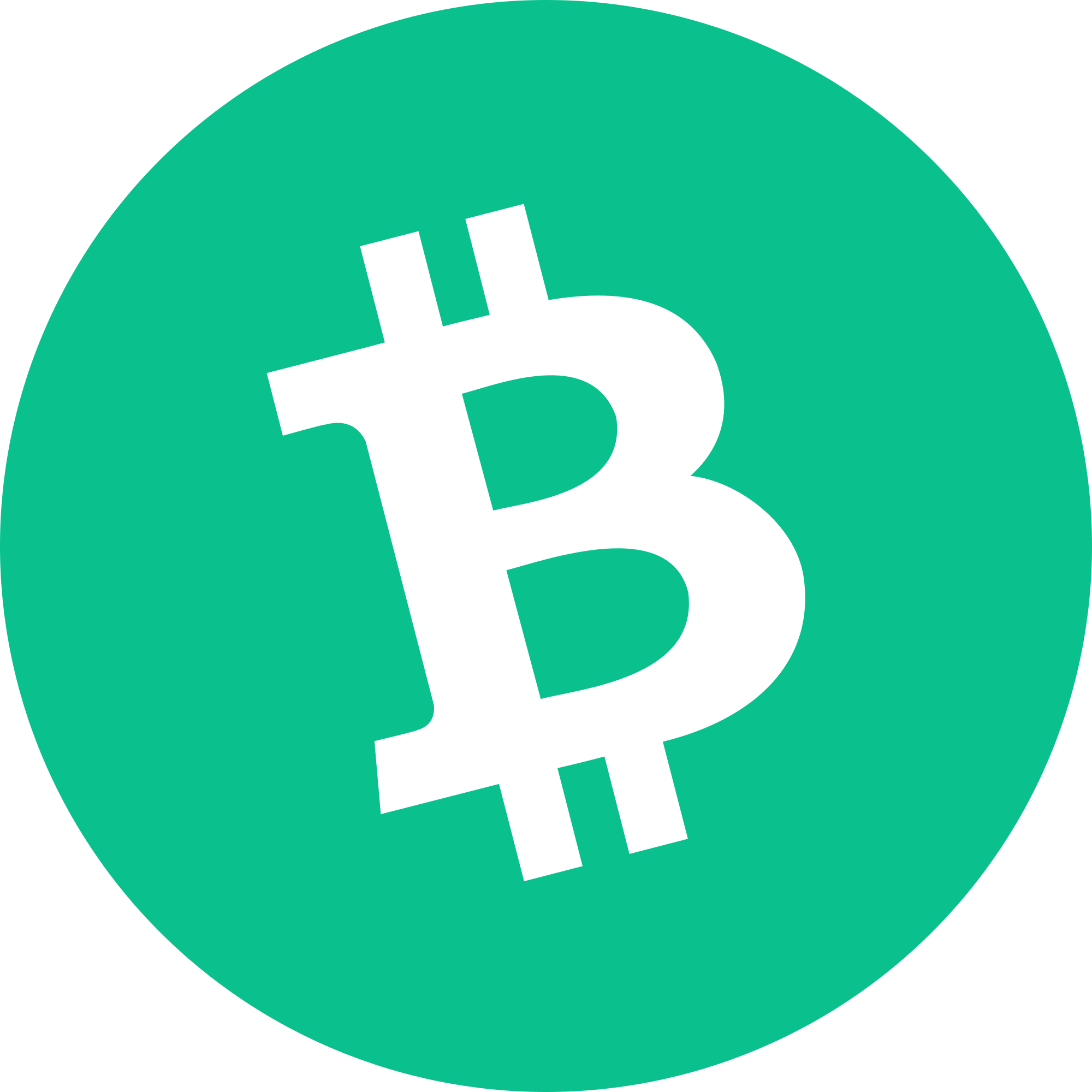 Bitcoin Cash Token Logo